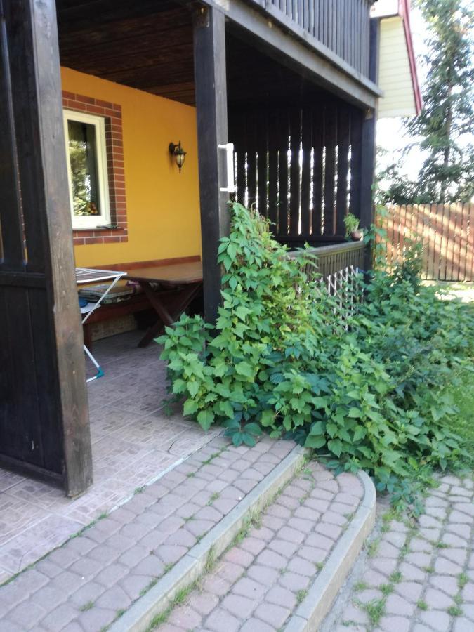 Domek Letniskowy Ali Przejma Wielka Extérieur photo